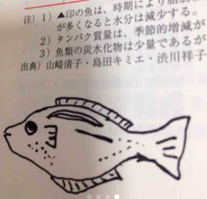魚の絵